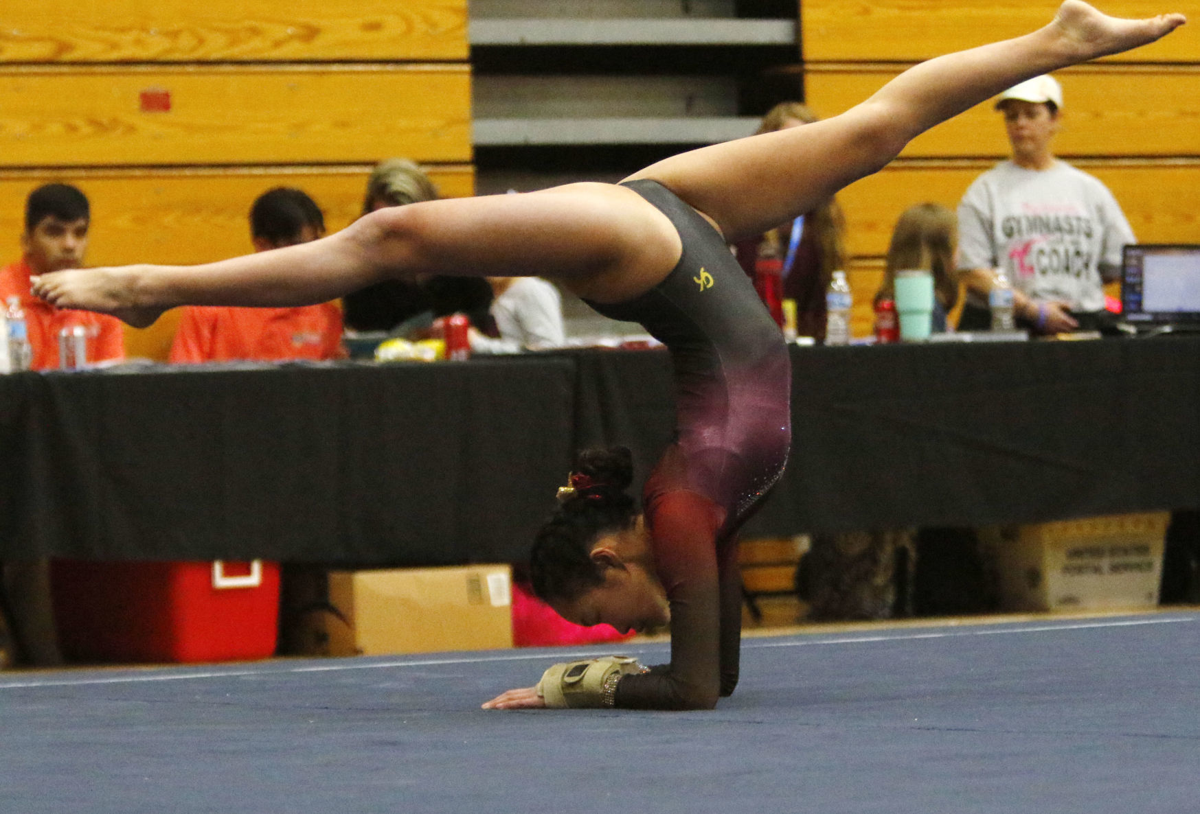 Gymanstics state finals